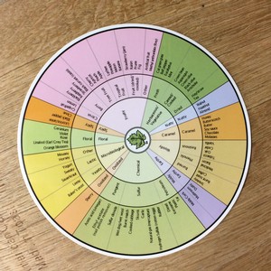 Wine sensory wheel
